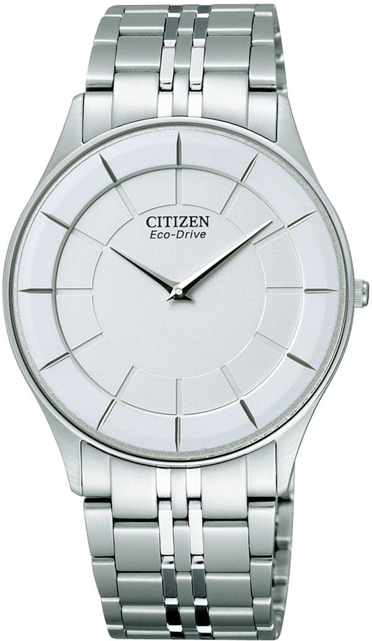 Citizen Collection Eco-Drive AR3010-65A Men's Watch