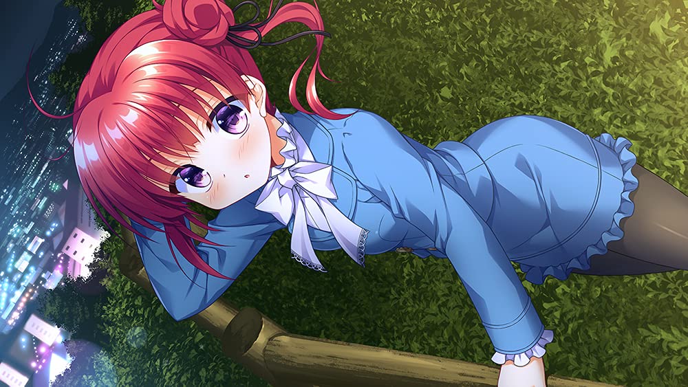 Princess of Glass and Retinue of Mirror's Nintendo Switch Entergram