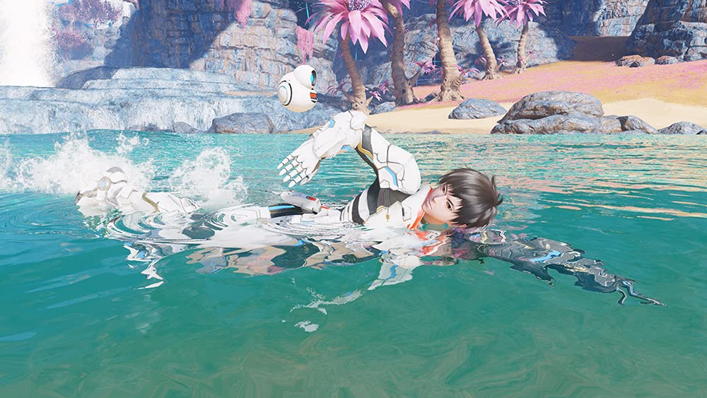 Phantasy Star Online 2 New Genesis Cloud Nintendo Switch Sega