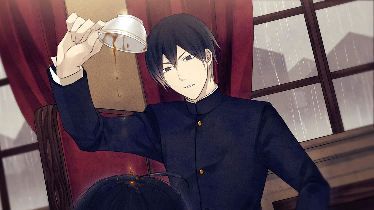 Hashihime of the Old Book Town Nintendo Switch hunex Sealed Visual