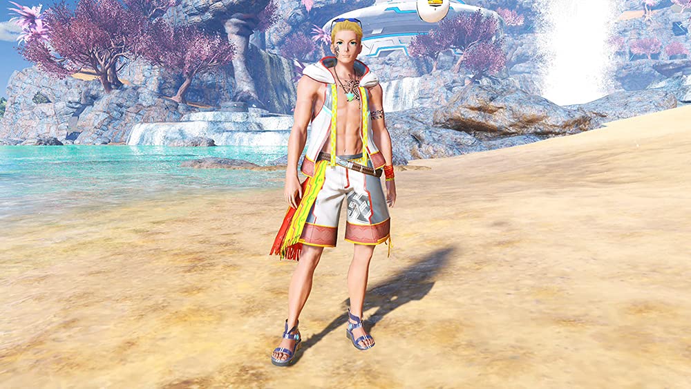 Phantasy Star Online 2 New Genesis Cloud Limited Edition Nintendo