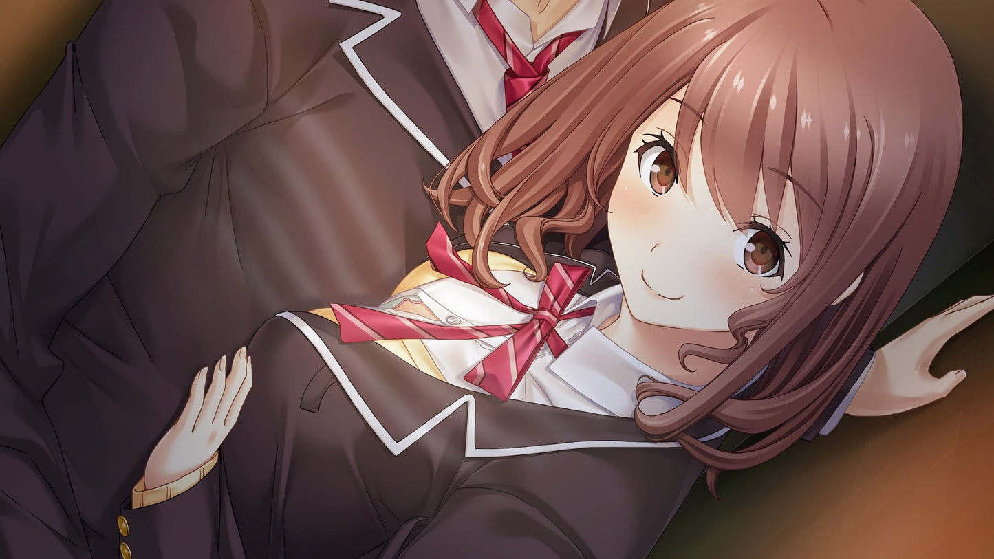 Full Kiss SS Nintendo Switch Entergram Sealed Bishoujo New