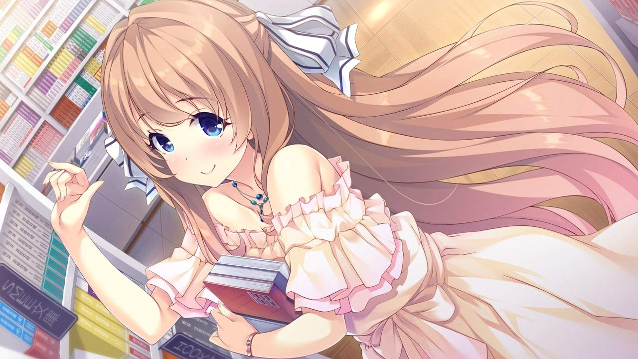 Sugar*Style Nintendo Switch Entergram Sealed Bishoujo New