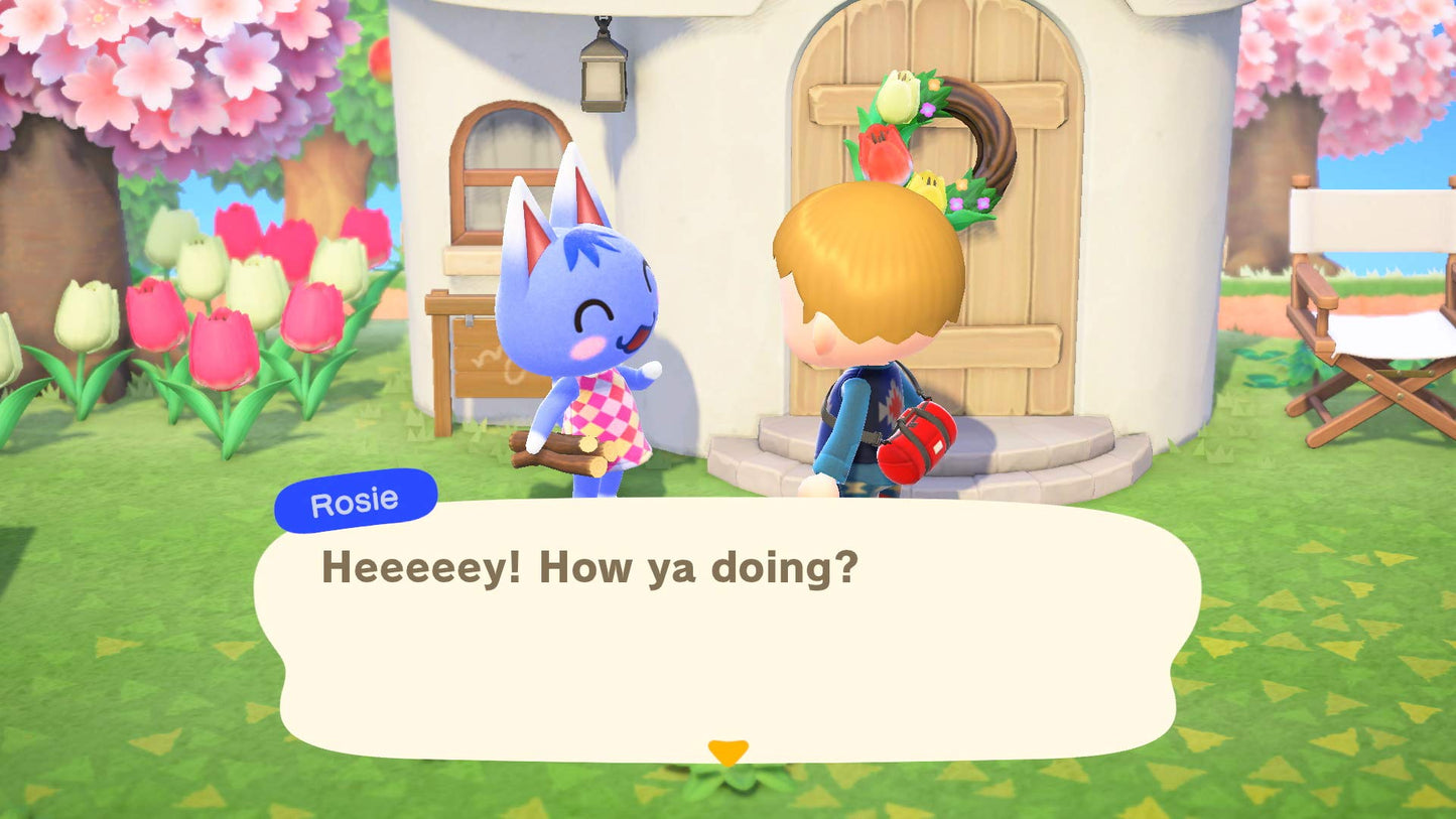 Animal Crossing New Horizons- Switch