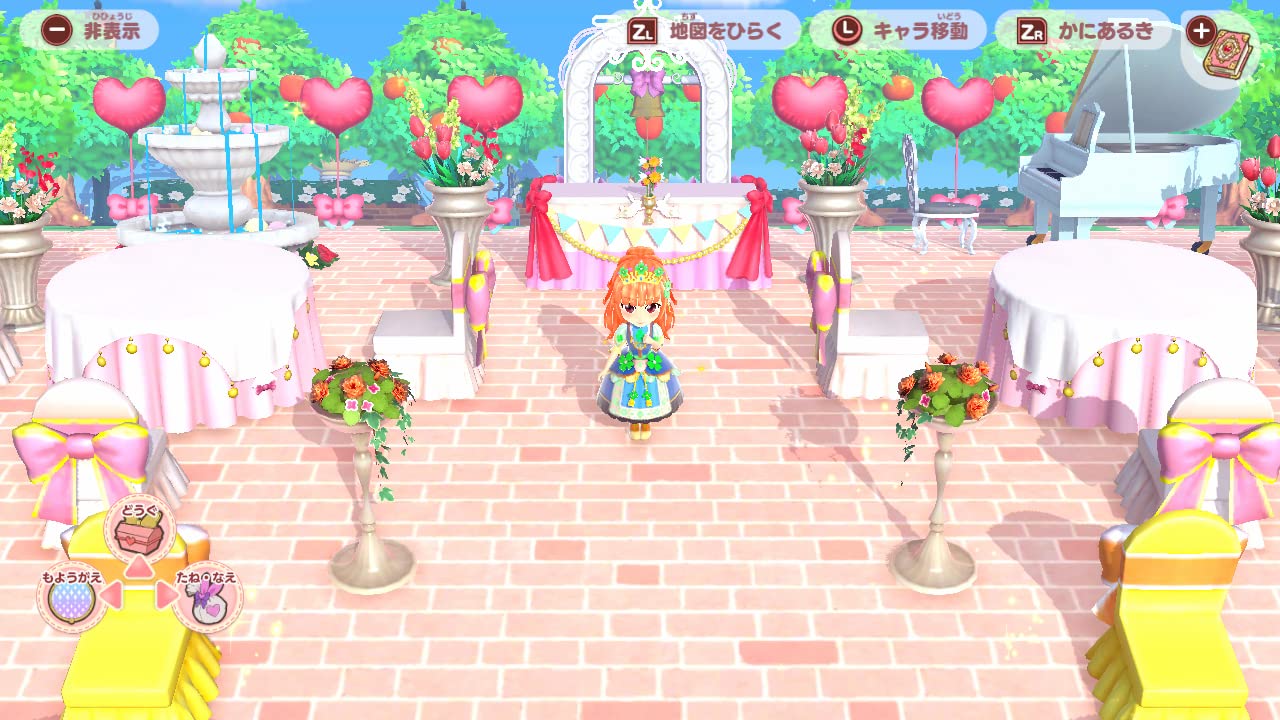 Pretty Princess Magical Garden Island Nintendo Switch Nippon