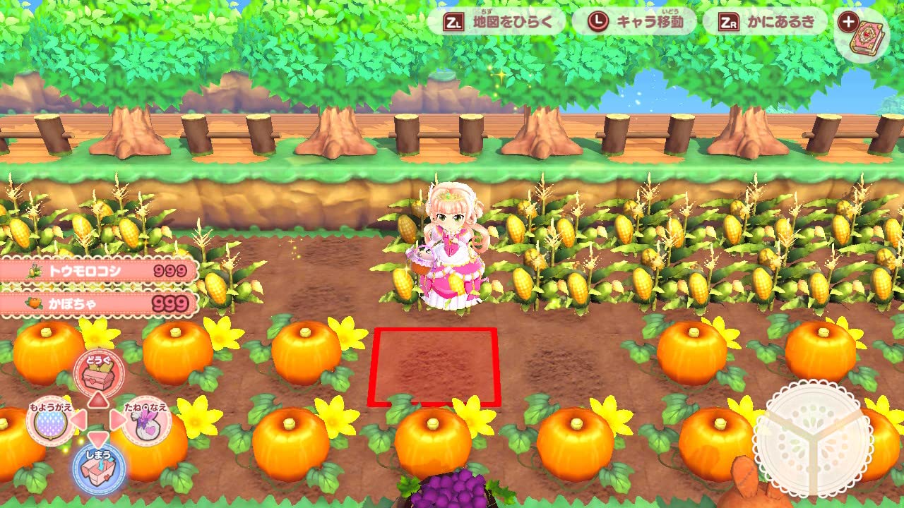 Pretty Princess Magical Garden Island Nintendo Switch Nippon