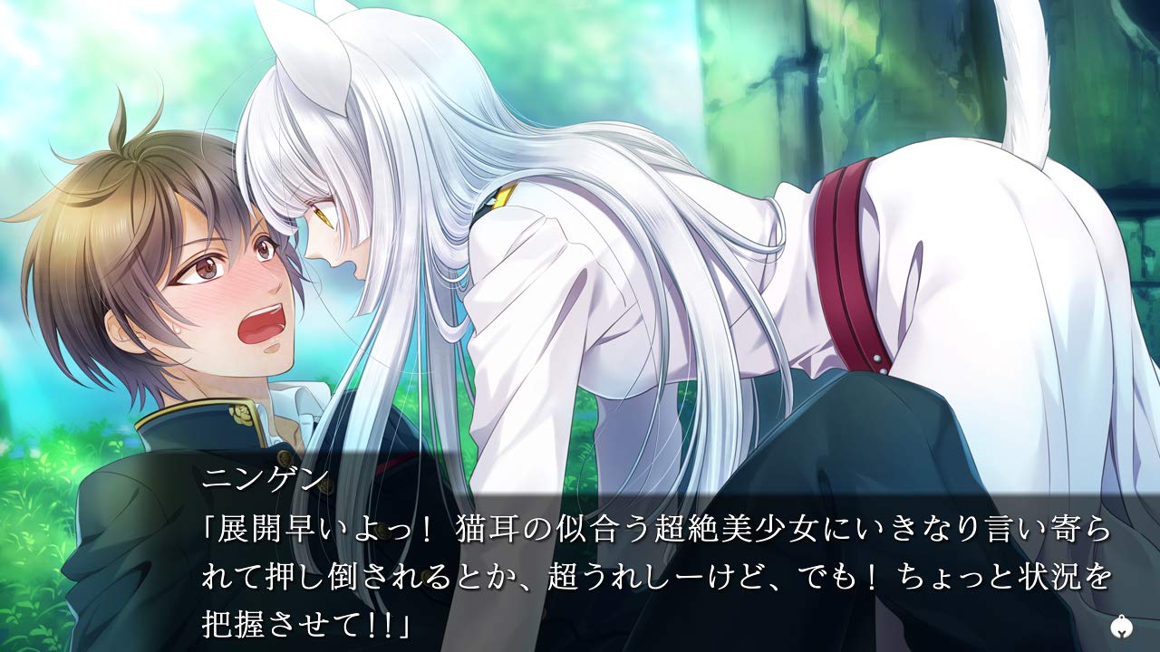 Gunka o Haita Neko Nintendo Switch Prototype Sealed New