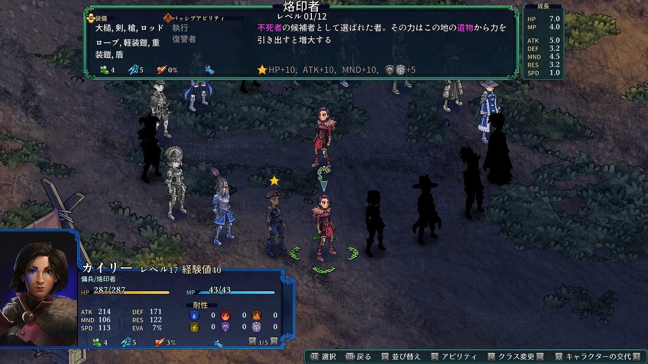 PS4 Fell Seal Arbiter's Mark Sony PlayStation 4 DMM.com New JP