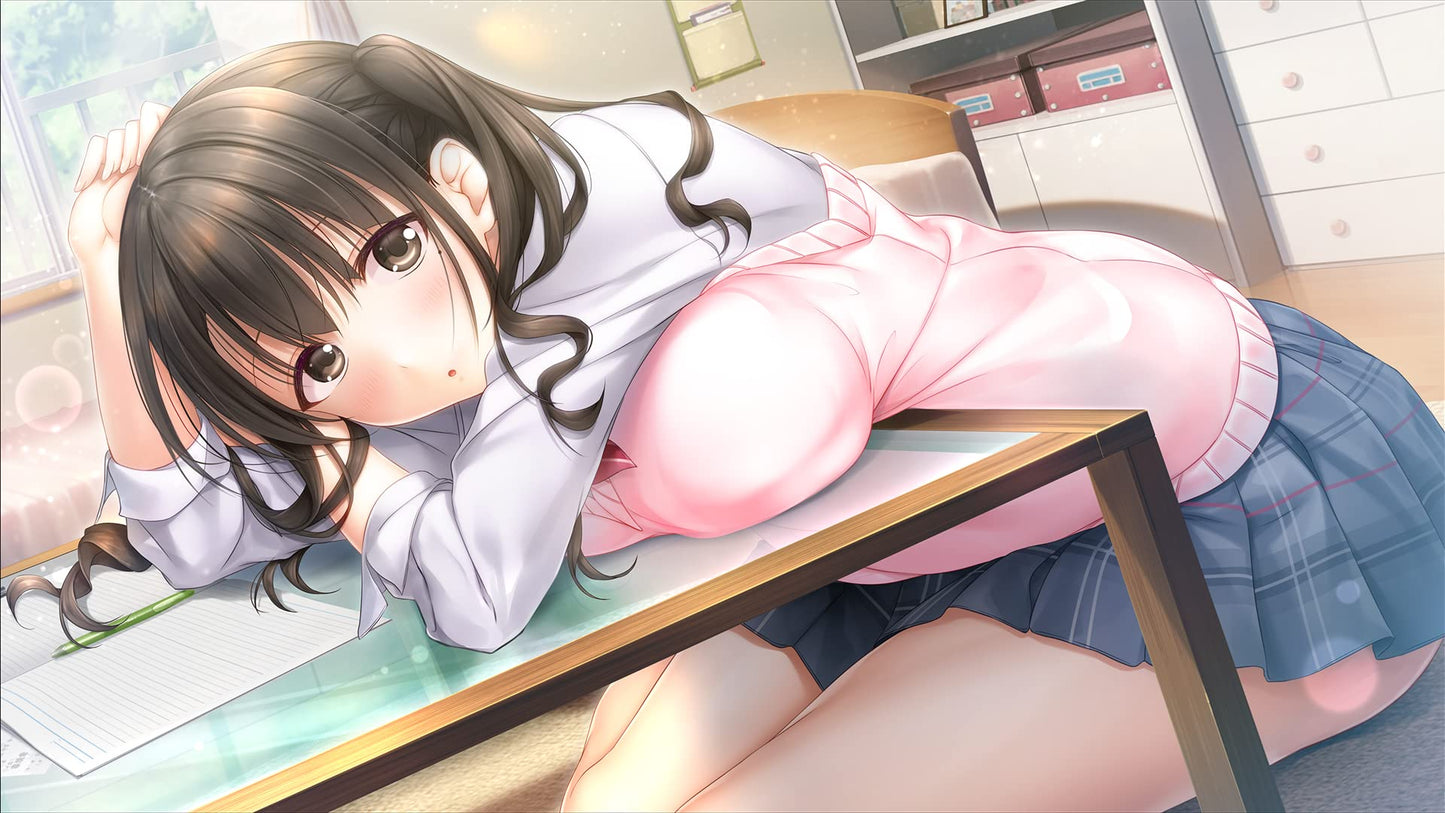 AiKiss 3 Cute Nintendo Switch Entergram Sealed Bishoujo