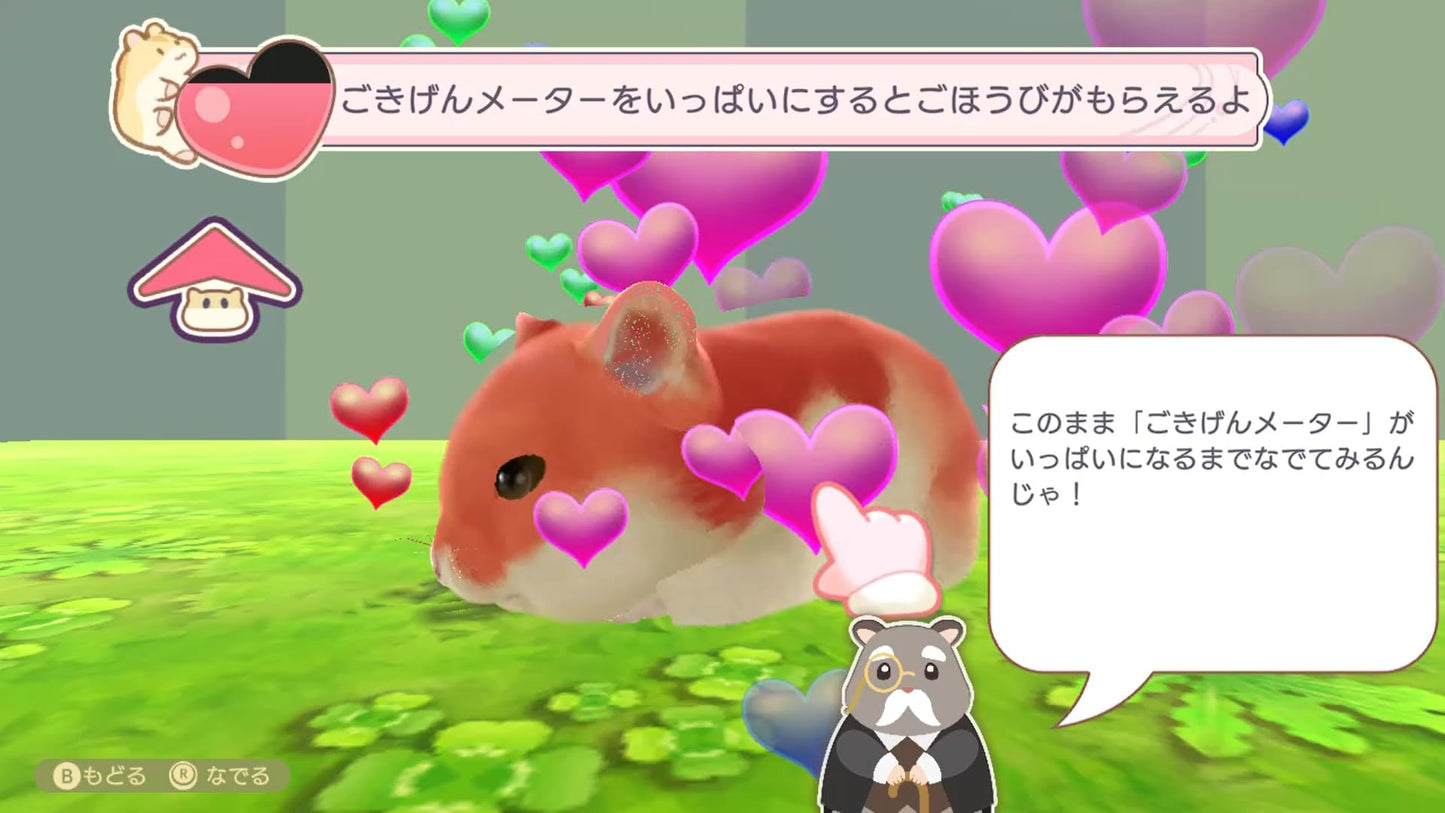 Ham Pafe: Hamster Sweets Puzzle - Switch