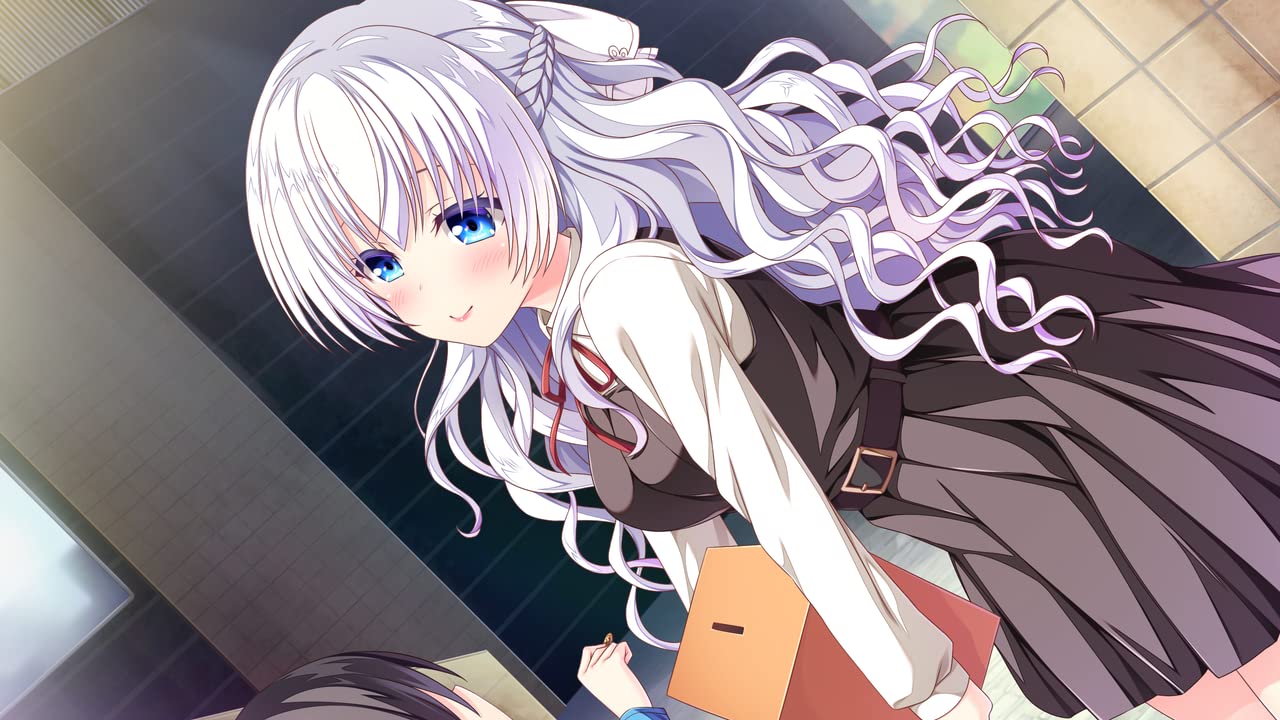 Houkago Cinderella Nintendo Switch Entergram Sealed Bishoujo New