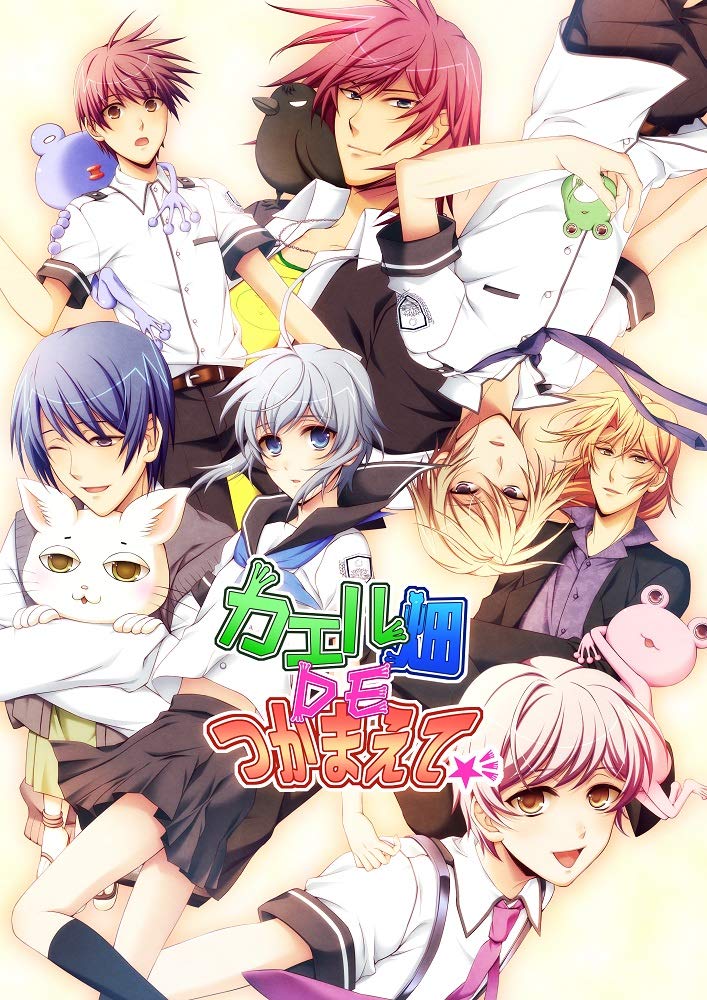 Kaeru Batake de Tsukamaete Nintendo Switch Takuyo Sealed New