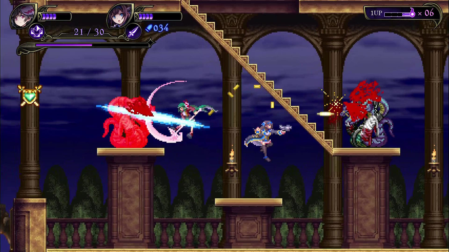 Grim Guardians: Demon Purge Limited Edition - Switch