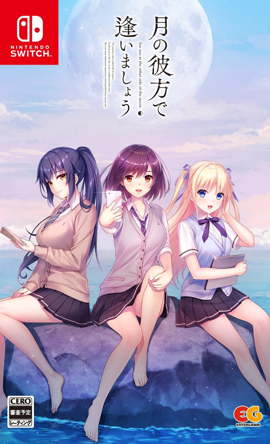 Let's Meet Beyond the Moon - Switch