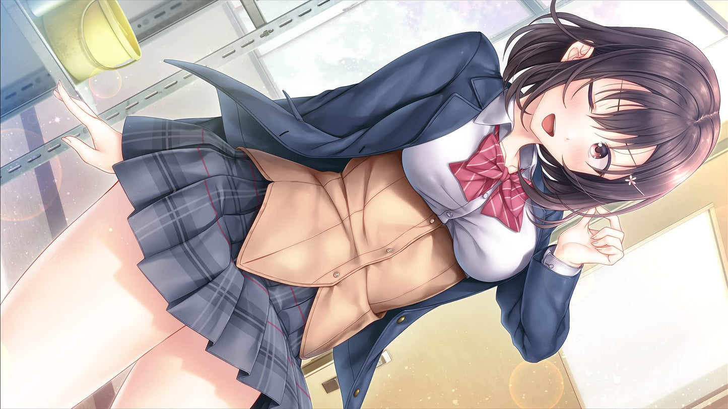 AiKiss 3 Cute Nintendo Switch Entergram Sealed Bishoujo