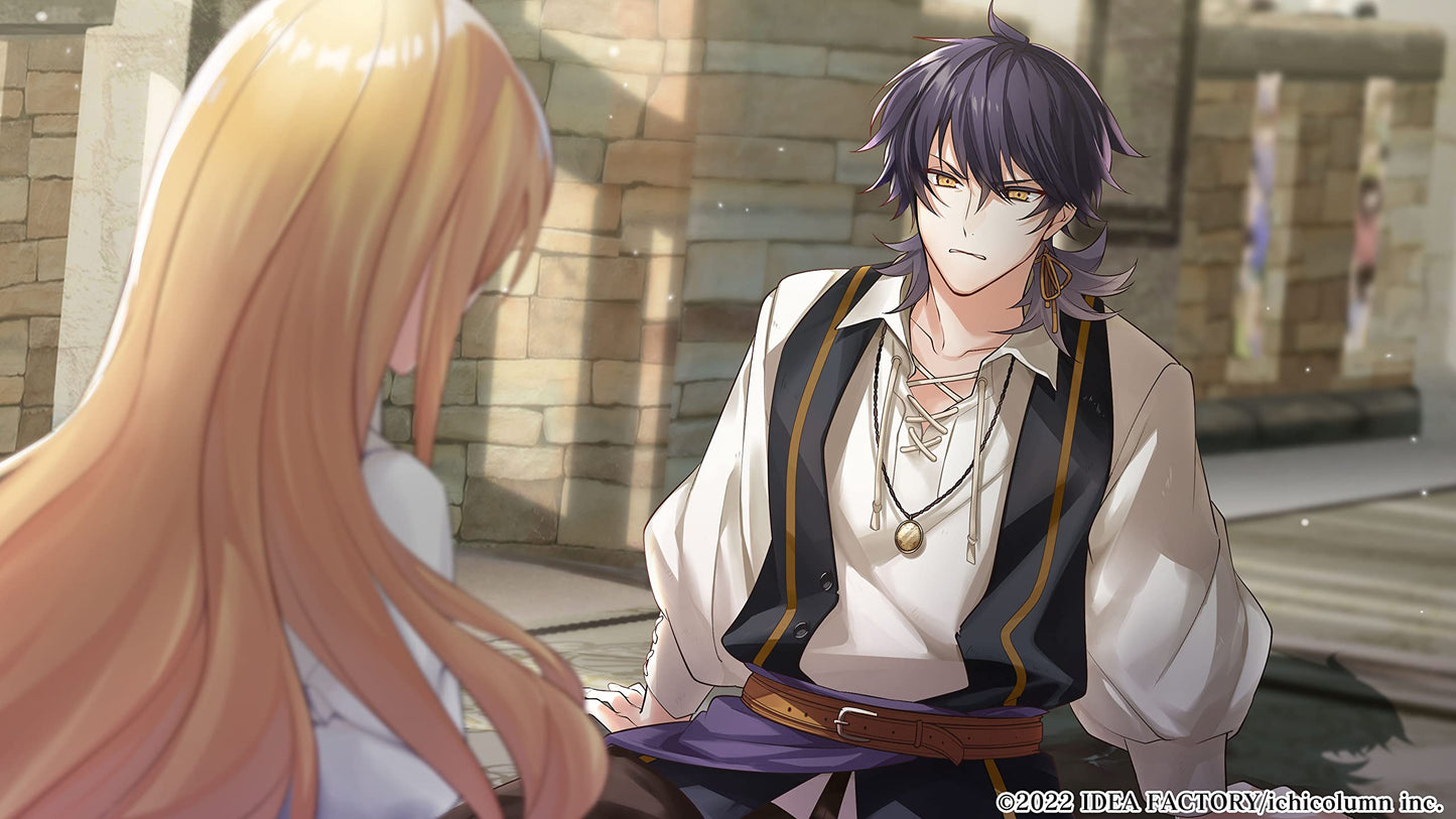 The Fortune Princess of Temirana and the Knights Nintendo Switch