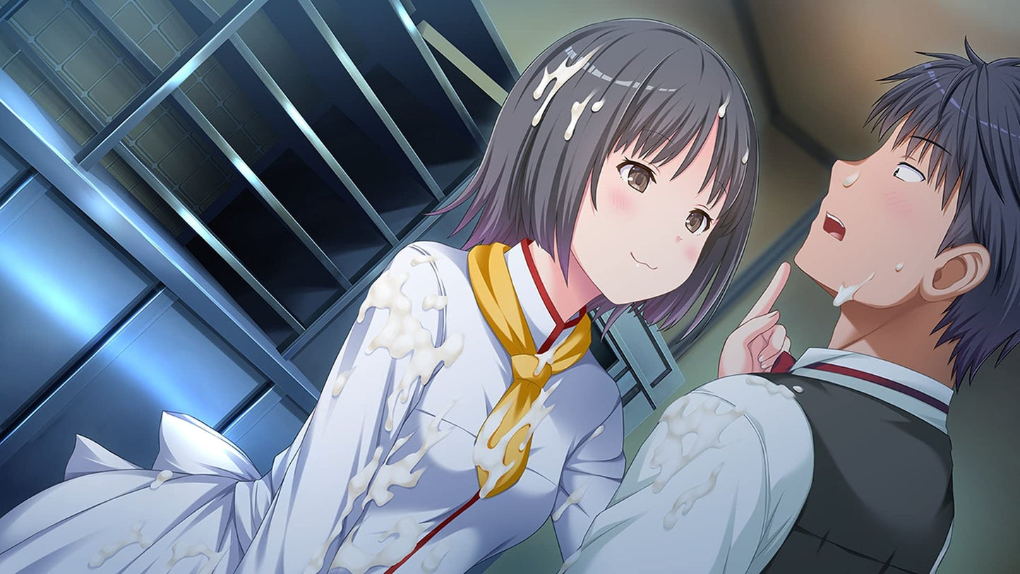 Parfait Remake Nintendo Switch Entergram Sealed Bishoujo New