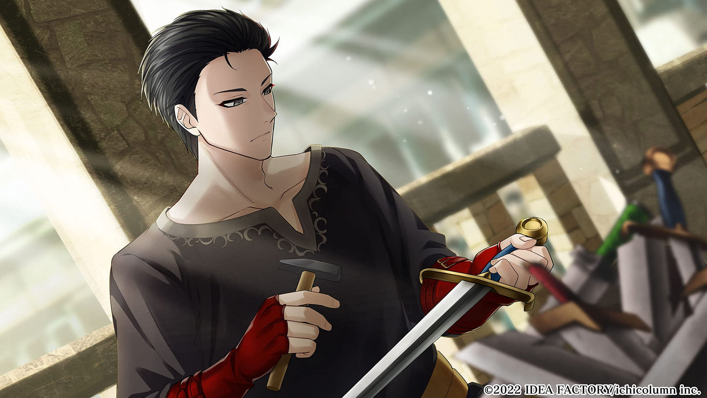 The Fortune Princess of Temirana and the Knights Nintendo Switch