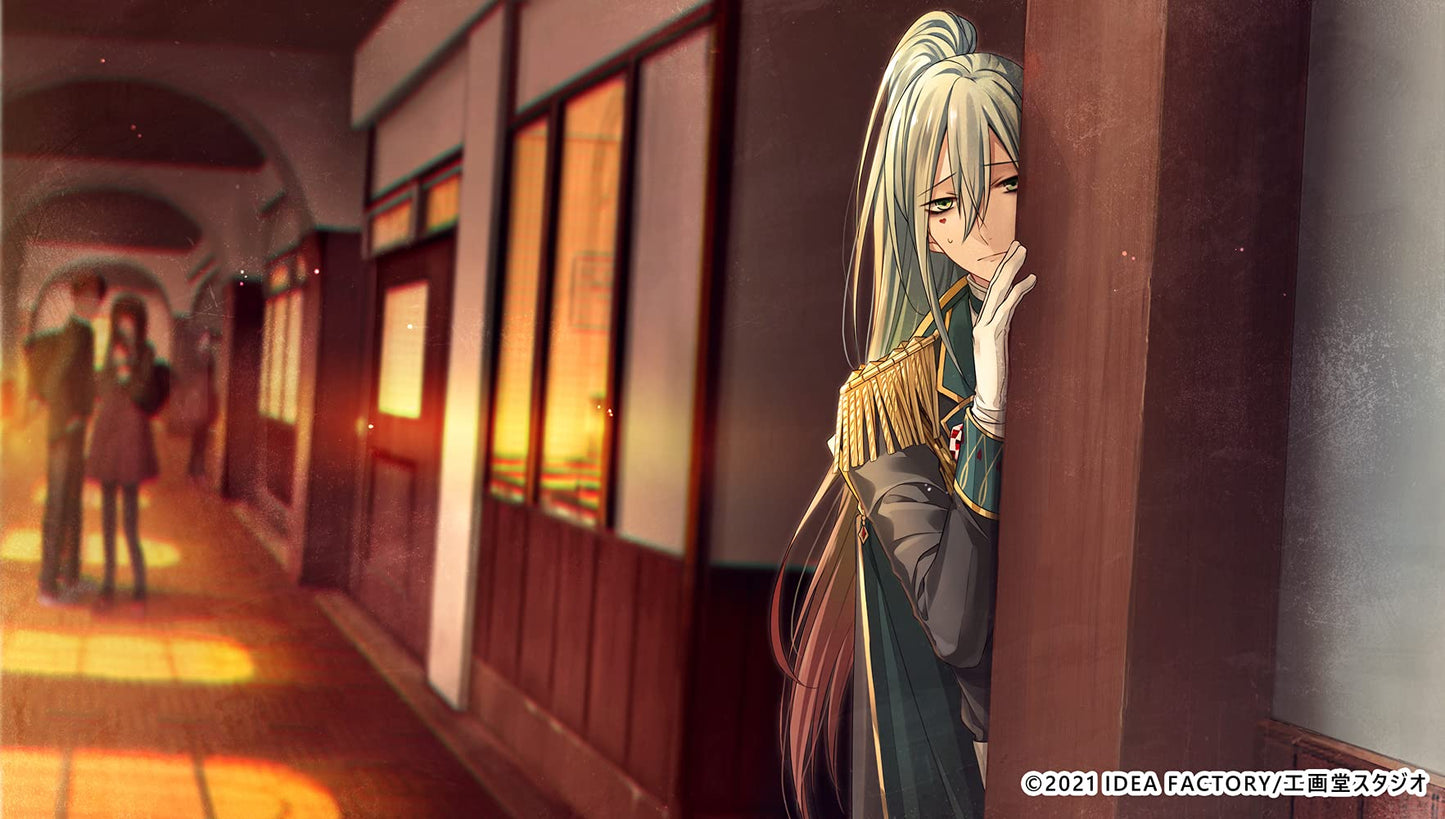 Alice In Black And White Limited Edition Nintendo Switch Idea