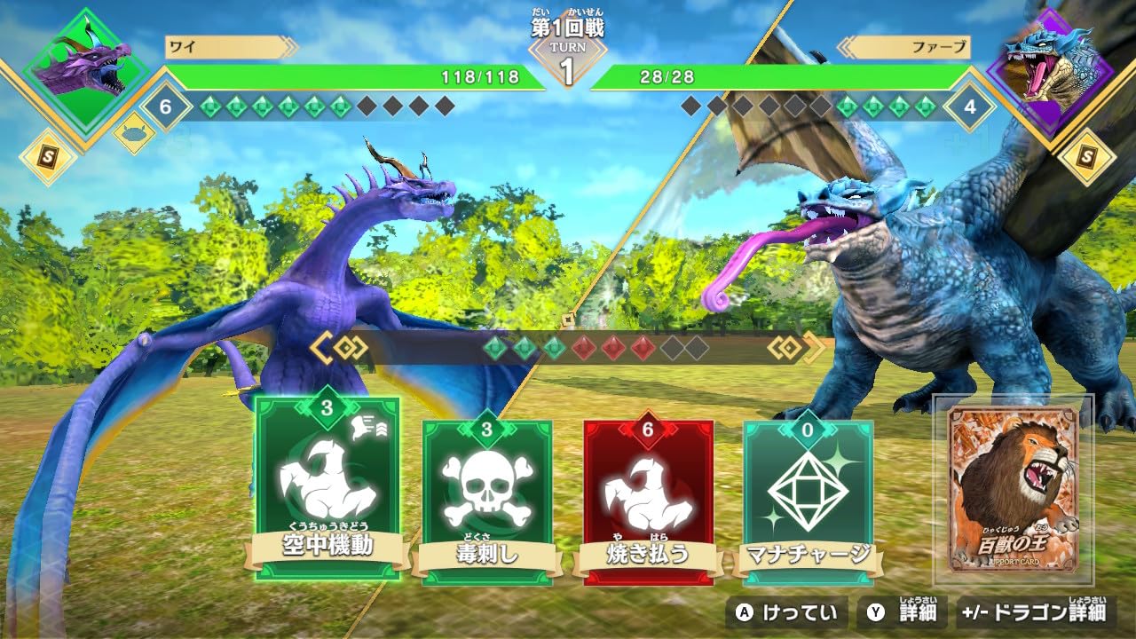 Dragon Strongest King Picture Book Battle Coliseum -Switch