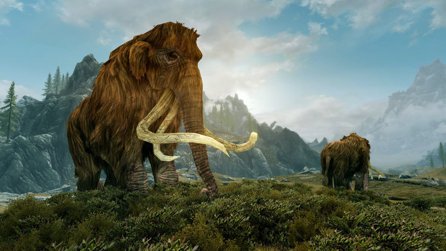 The Elder Scrolls V Skyrim Nintendo Switch Bethesda Softworks