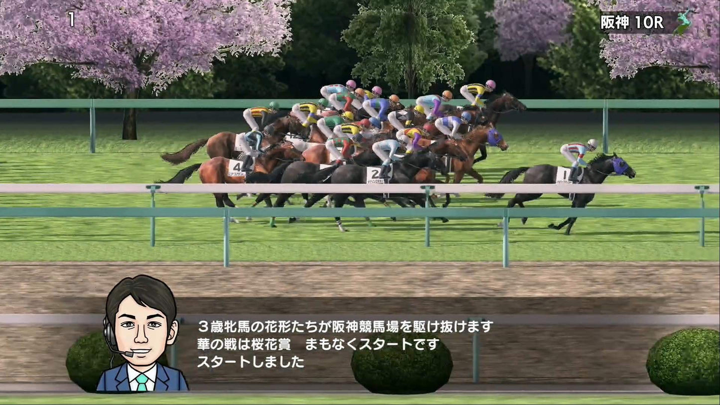 Derby Stallion - Switch