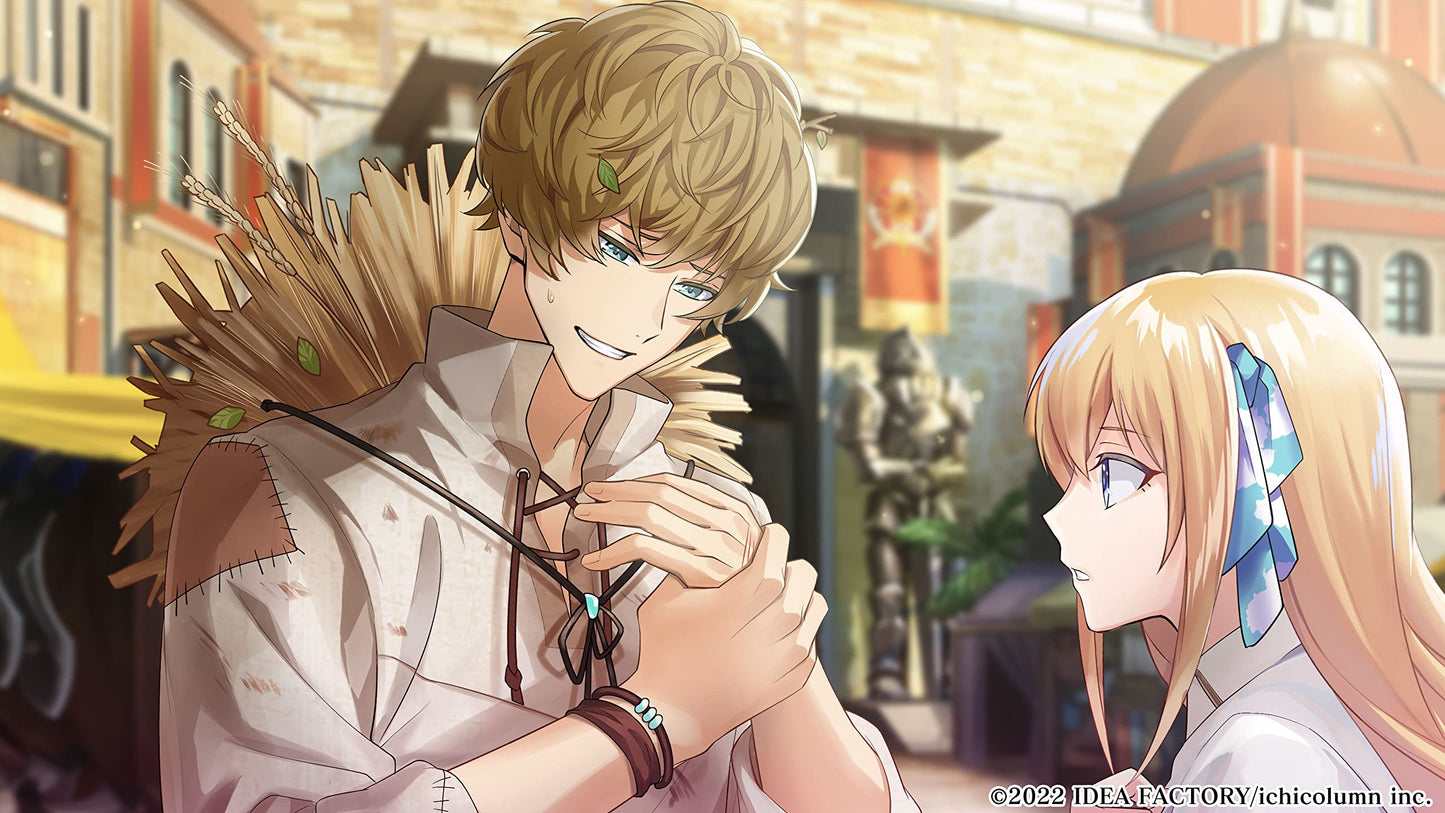 The Fortune Princess of Temirana and the Knights Nintendo Switch