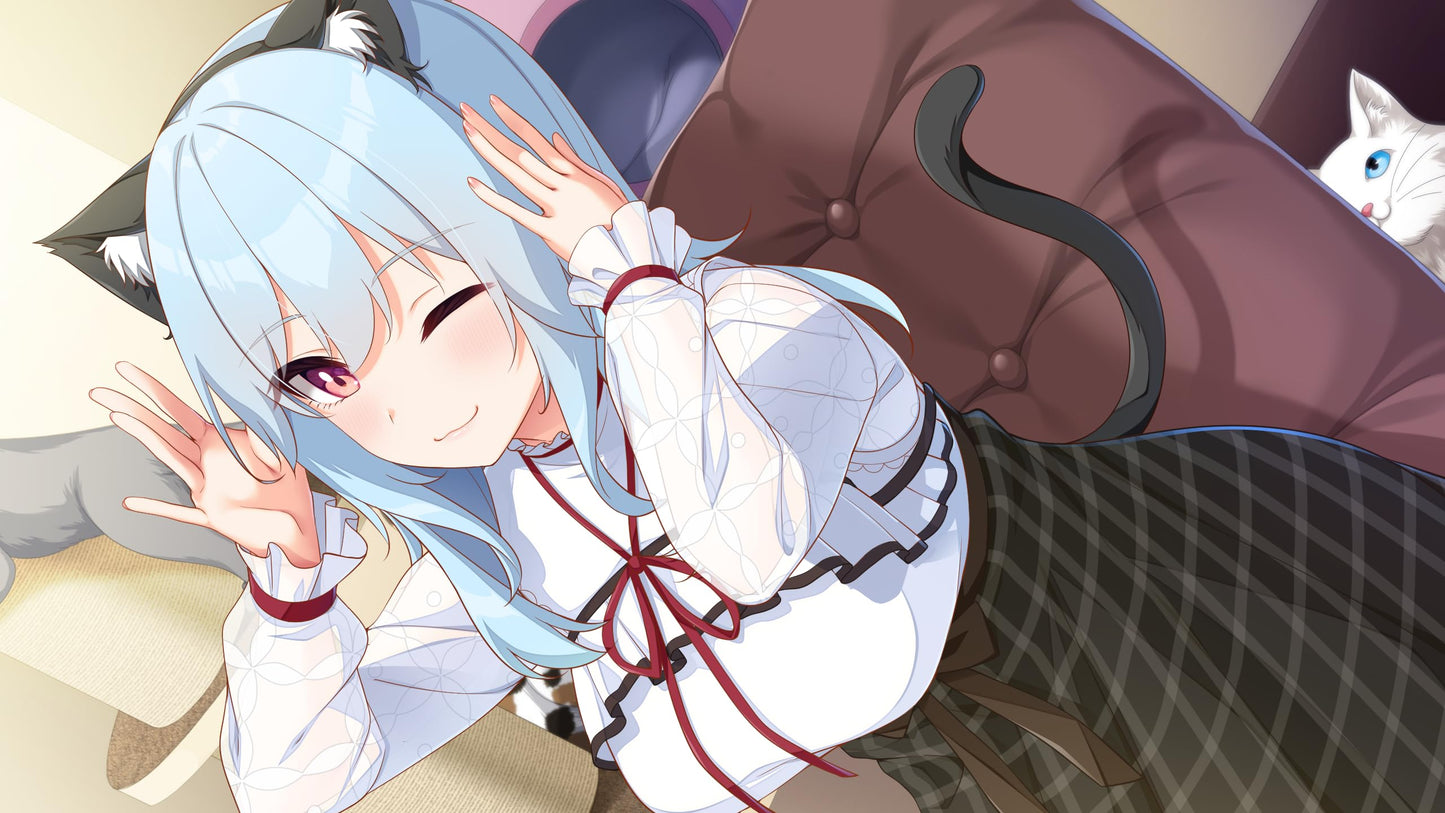 Love is Needed Limited Edition - Switch