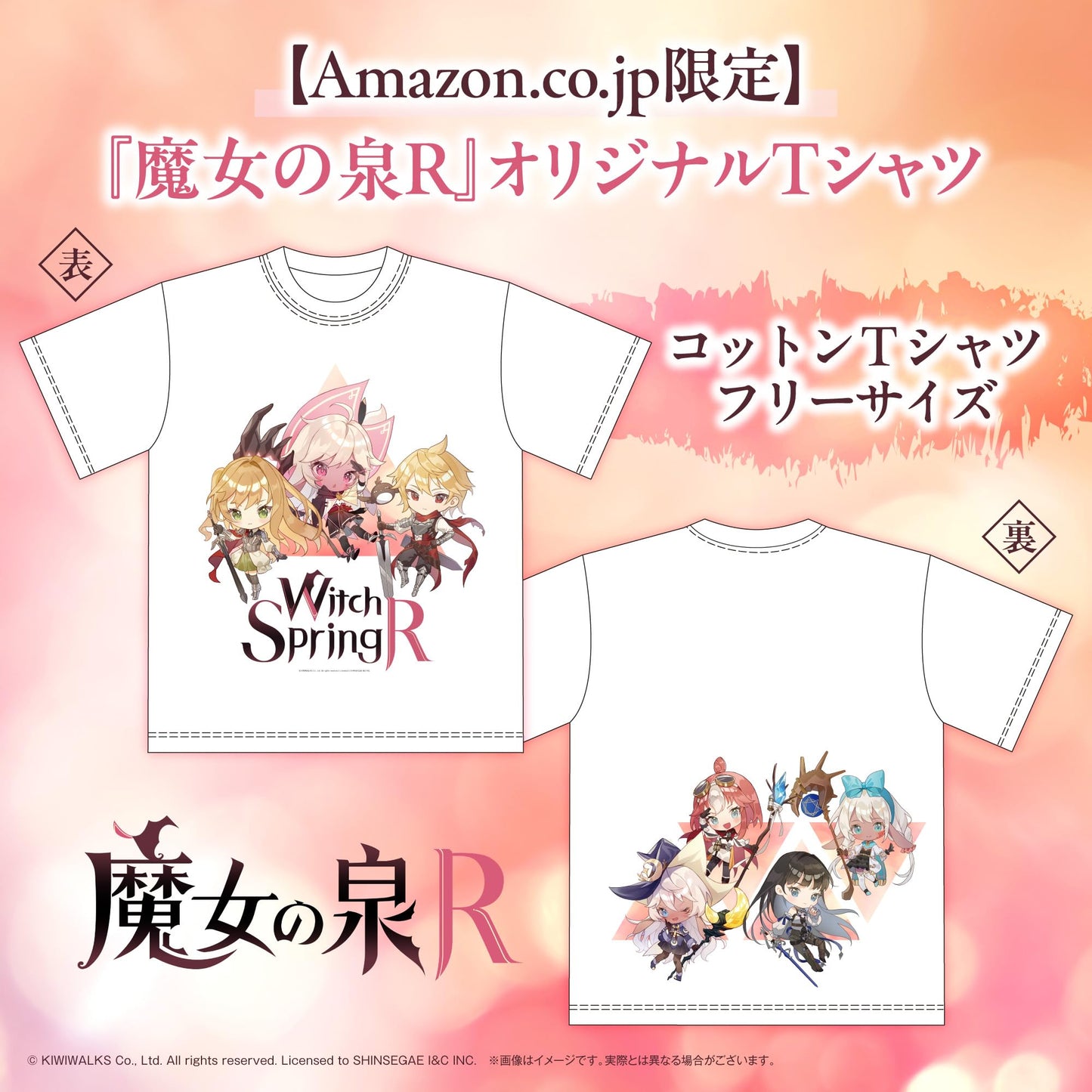 Majo no Izumi R Collector's Edition - Switch