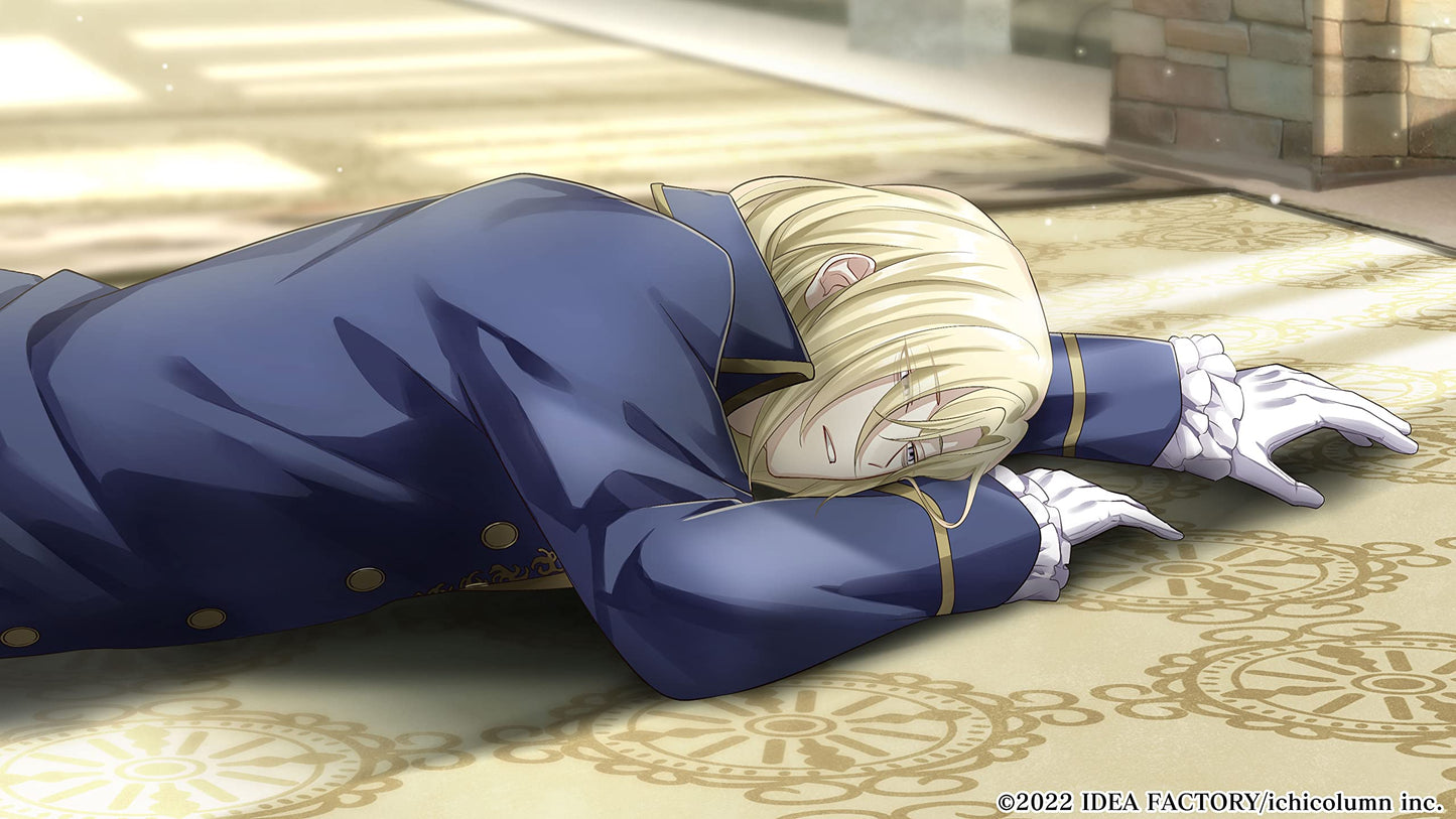 The Fortune Princess of Temirana and the Knights Nintendo Switch