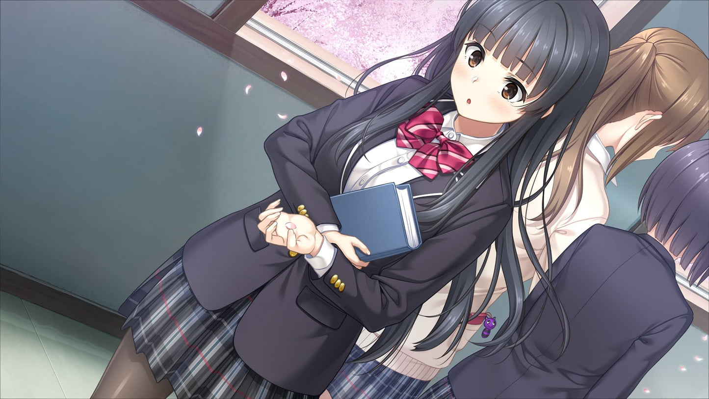 Full Kiss SS Nintendo Switch Entergram Sealed Bishoujo New