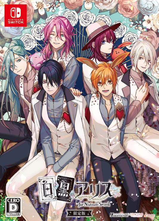 Alice In Black And White Limited Edition Nintendo Switch Idea