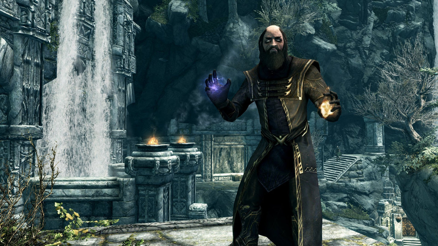 The Elder Scrolls V Skyrim Nintendo Switch Bethesda Softworks